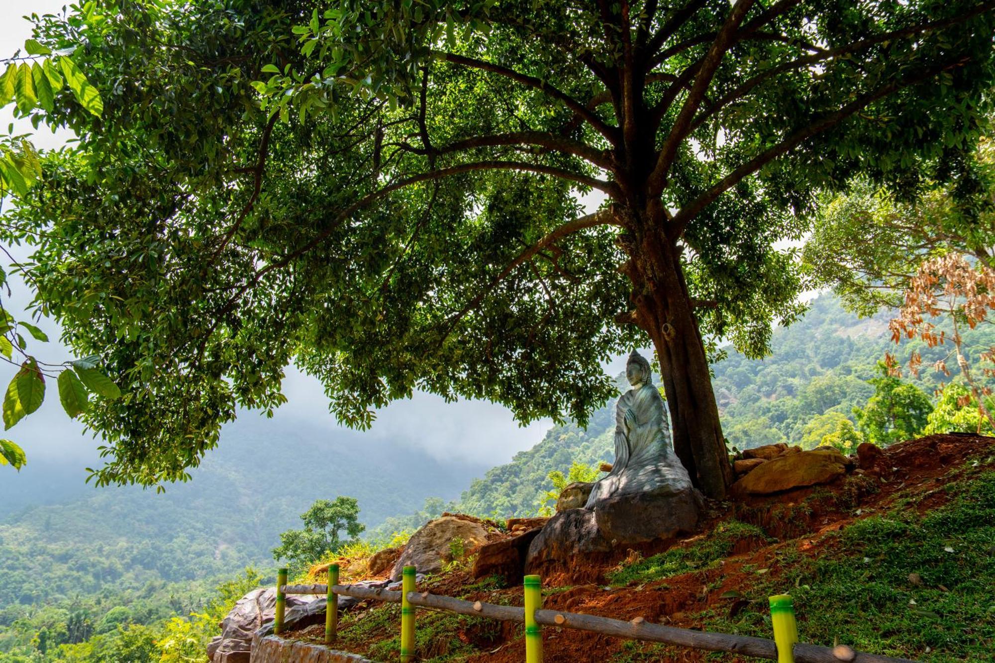 Karimb Resorts Vallikavungal Экстерьер фото